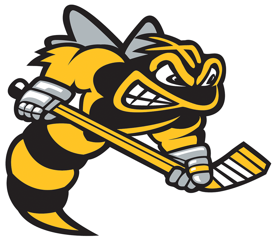 Sarnia Sting 2019-Pres Primary Logo iron on heat transfer